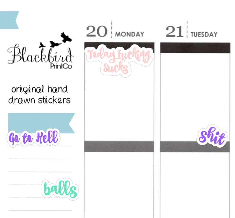 Sh*tty Day Planner Stickers (Curse Words - don't click if you're offended easily!)