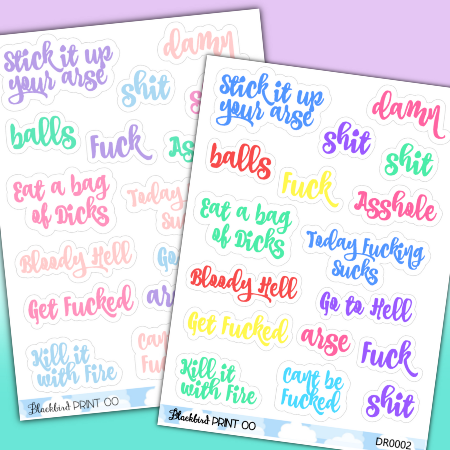 Sh*tty Day Planner Stickers (Curse Words - don't click if you're offended easily!)