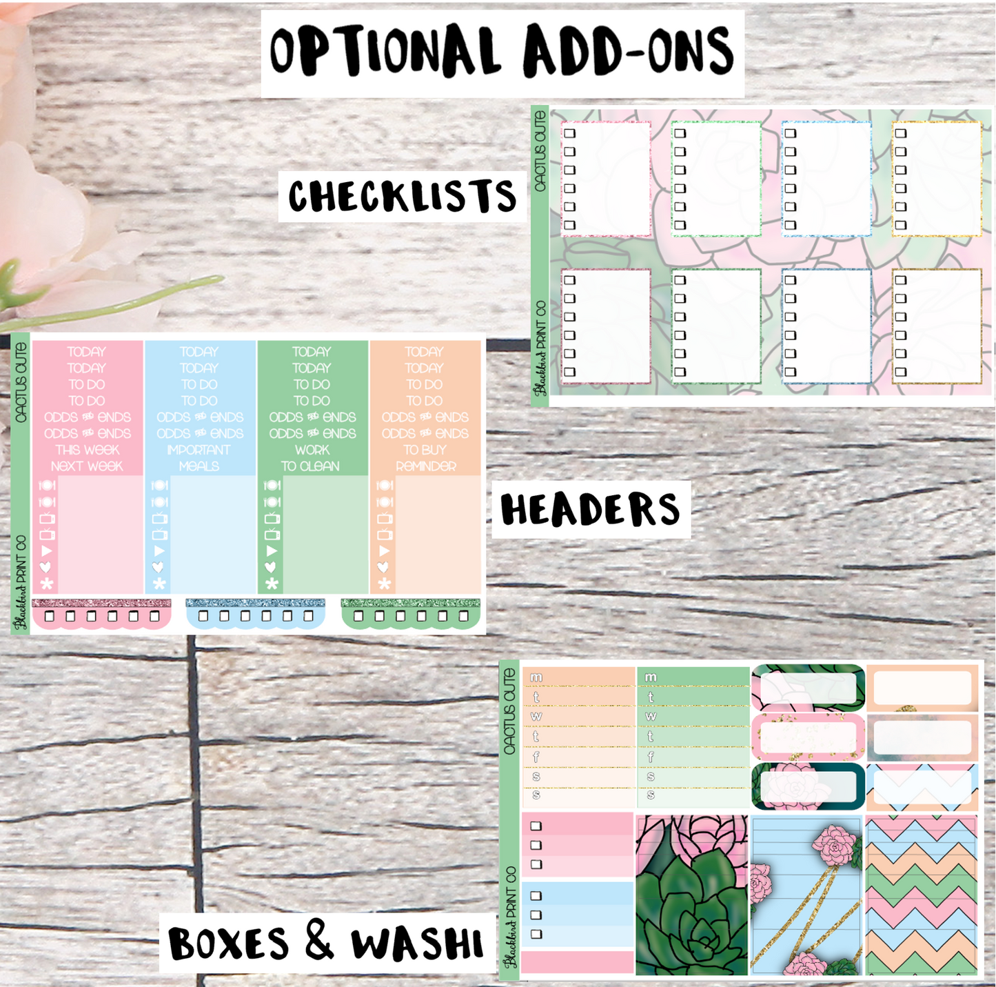 Cactus Cute | Exclusive Hand Drawn Planner Sticker Kit for Vertical Planners