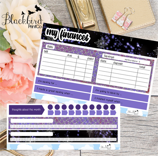 Finance Tracking Note Page Kit for Full-size Planners - Hand Drawn Planner Stickers